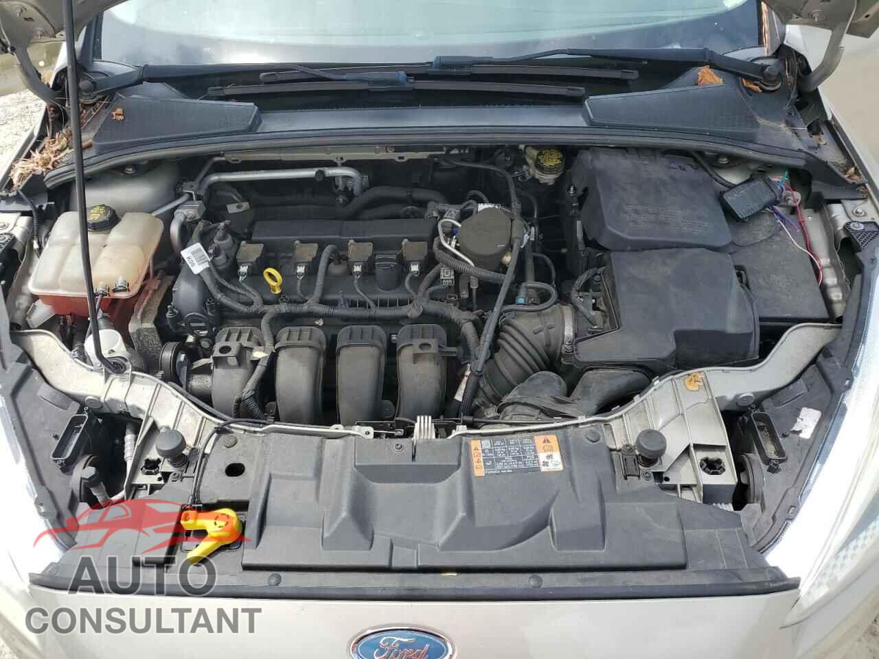 FORD FOCUS 2015 - 1FADP3K25FL297681