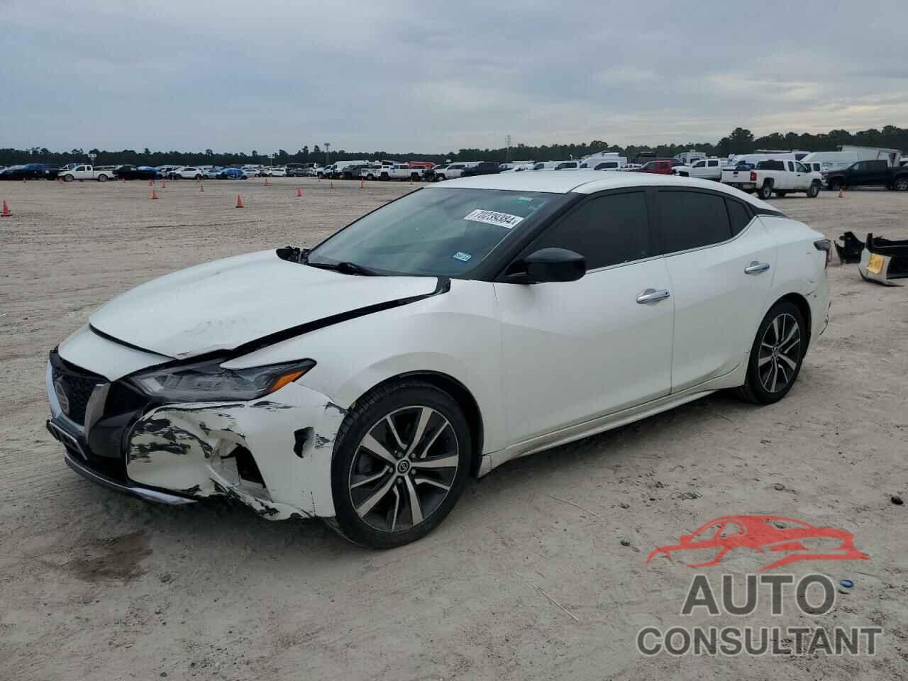 NISSAN MAXIMA 2019 - 1N4AA6AV6KC382203