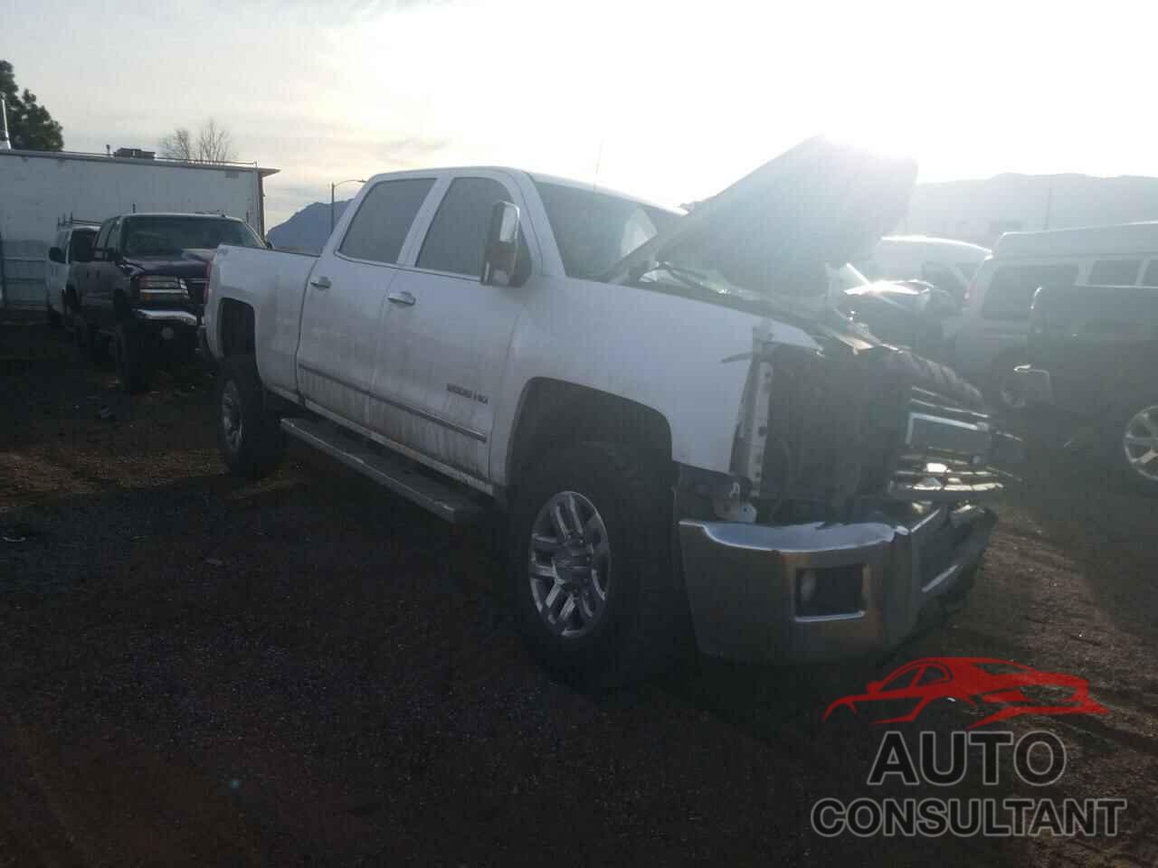 CHEVROLET SILVERADO 2019 - 1GC1KTEG7KF250065