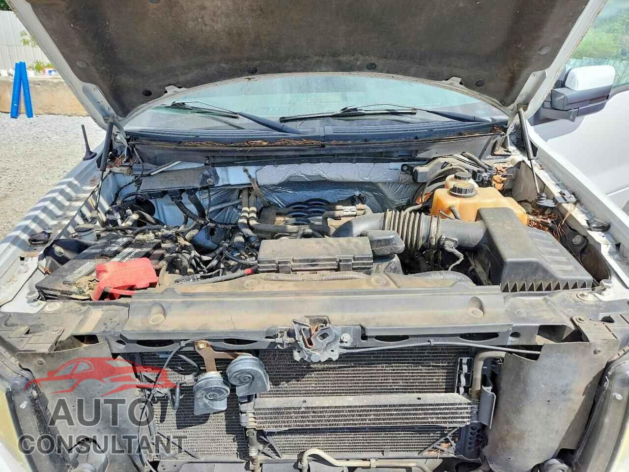 FORD F150 2012 - 1FTFW1EF6CKD13011
