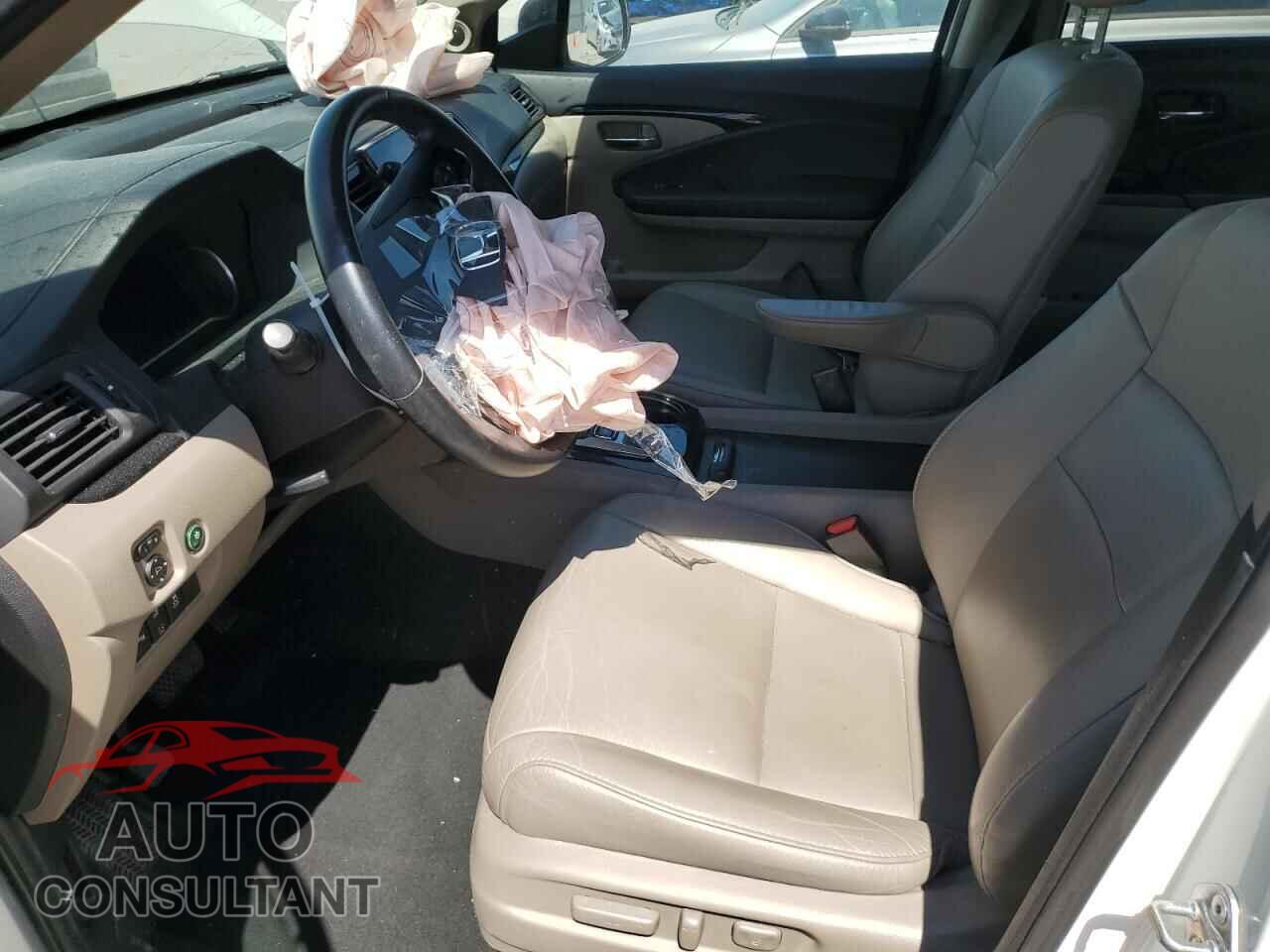 HONDA PILOT 2019 - 5FNYF6H94KB039959