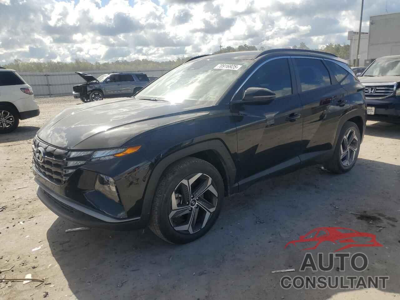 HYUNDAI TUCSON 2024 - 5NMJF3DE3RH295814