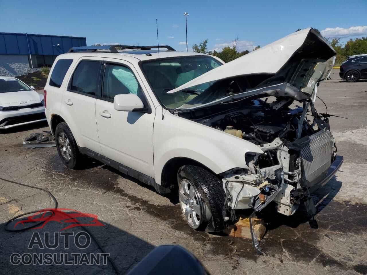 FORD ESCAPE 2010 - 1FMCU0EG6AKD18889