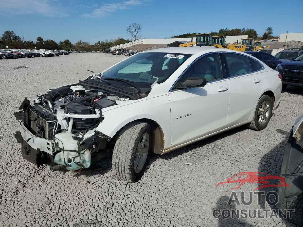 CHEVROLET MALIBU 2019 - 1G1ZB5ST3KF179049