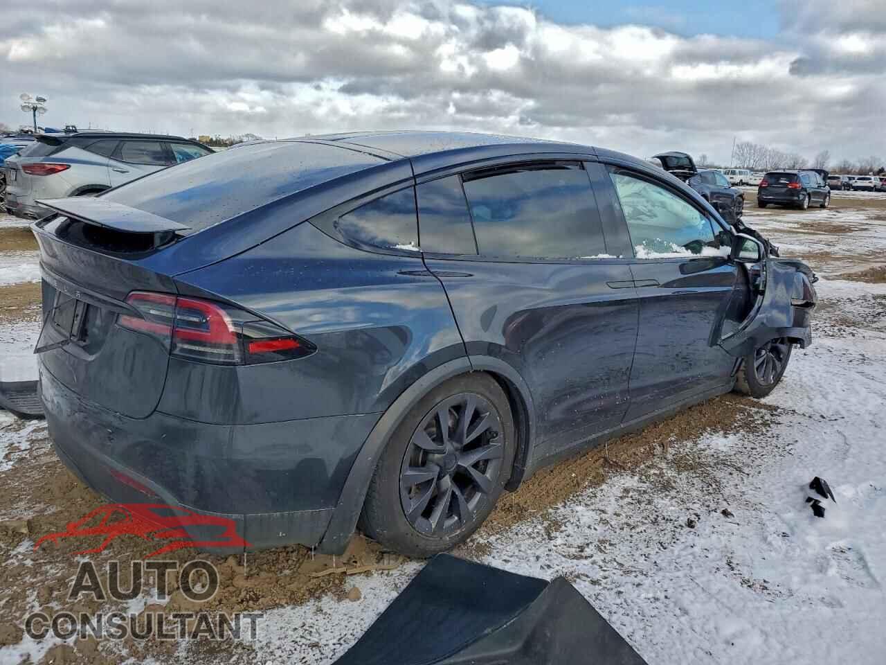 TESLA MODEL X 2024 - 7SAXCBE55RF435183