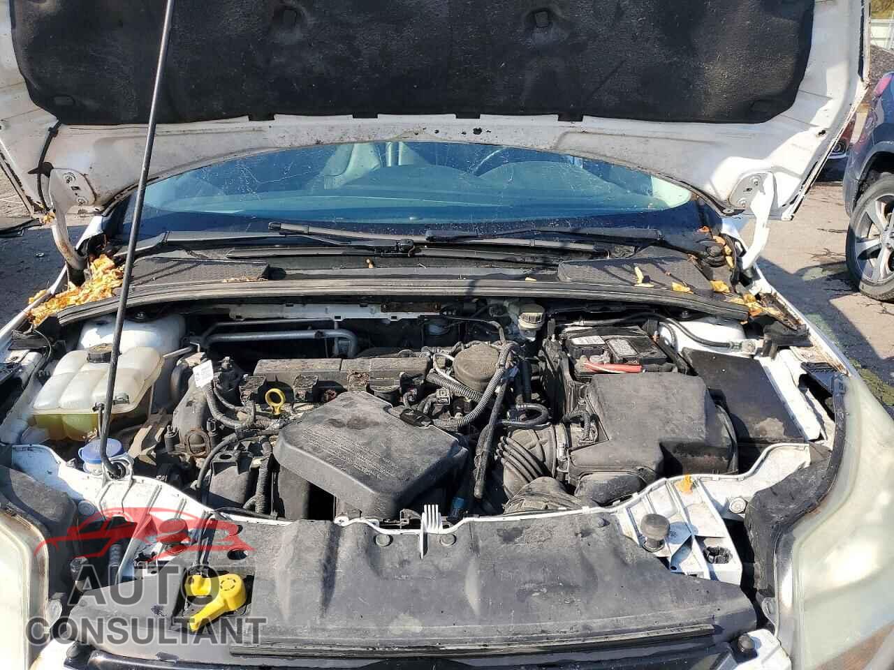 FORD FOCUS 2014 - 1FADP3F20EL240846