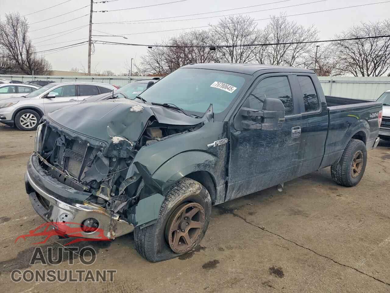 FORD F-150 2012 - 1FTFX1EF1CFC18281