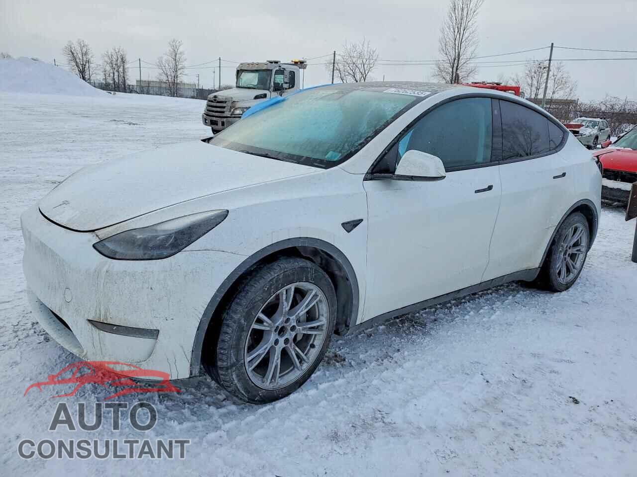 TESLA MODEL Y 2023 - LRWYGDFD5PC904870