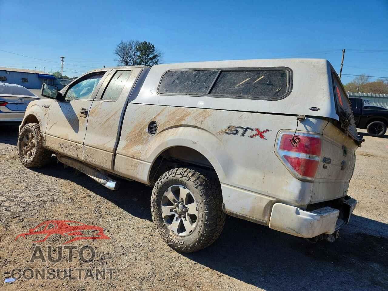 FORD F150 2014 - 1FTEX1CM2EFC68672
