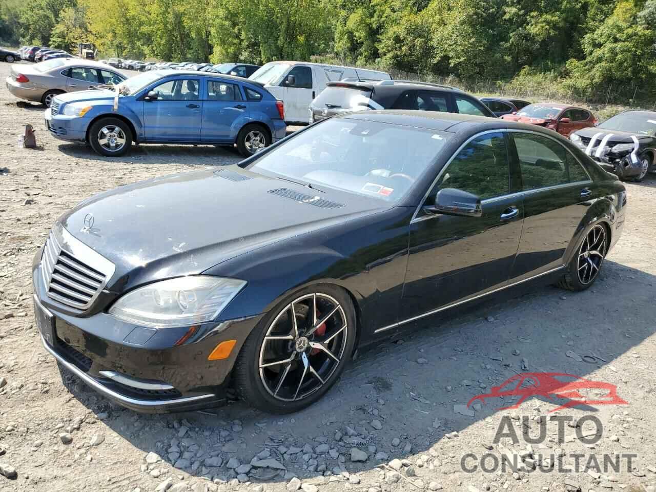 MERCEDES-BENZ S-CLASS 2010 - WDDNG8GB2AA347287