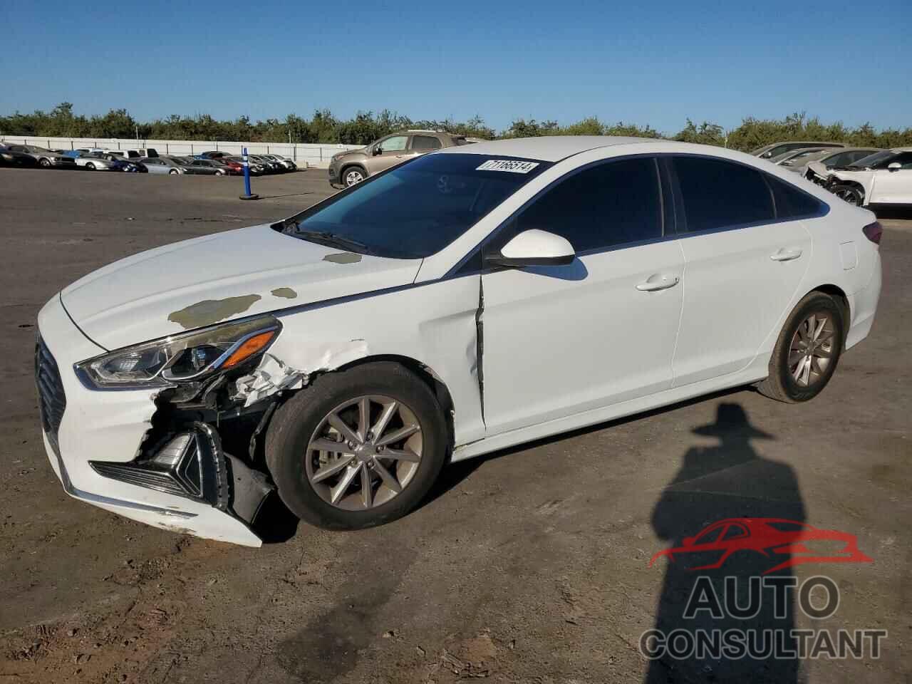 HYUNDAI SONATA 2018 - 5NPE24AF0JH601102