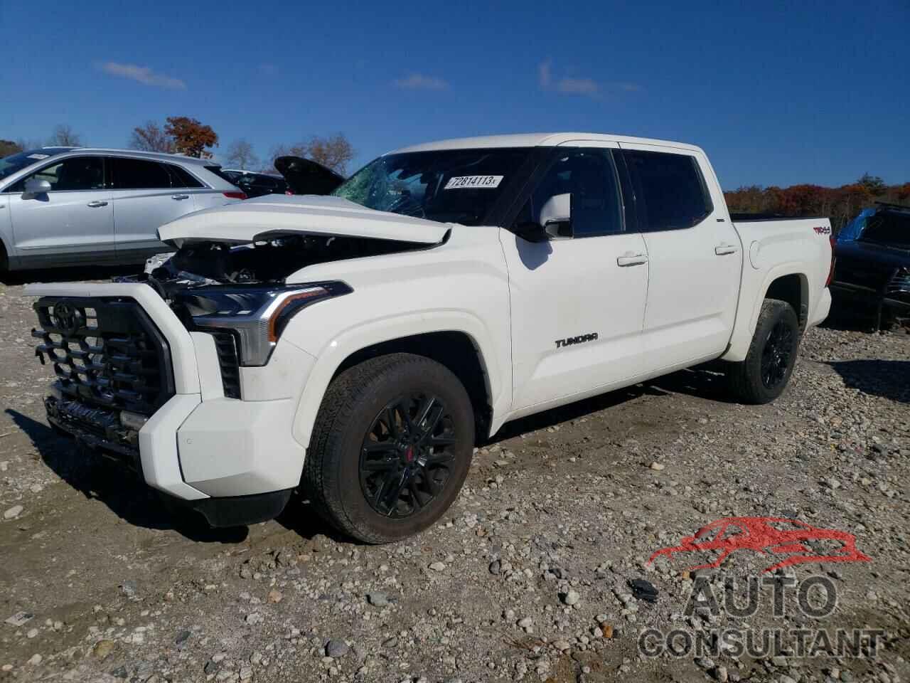 TOYOTA TUNDRA 2023 - 5TFLA5DB1PX113413