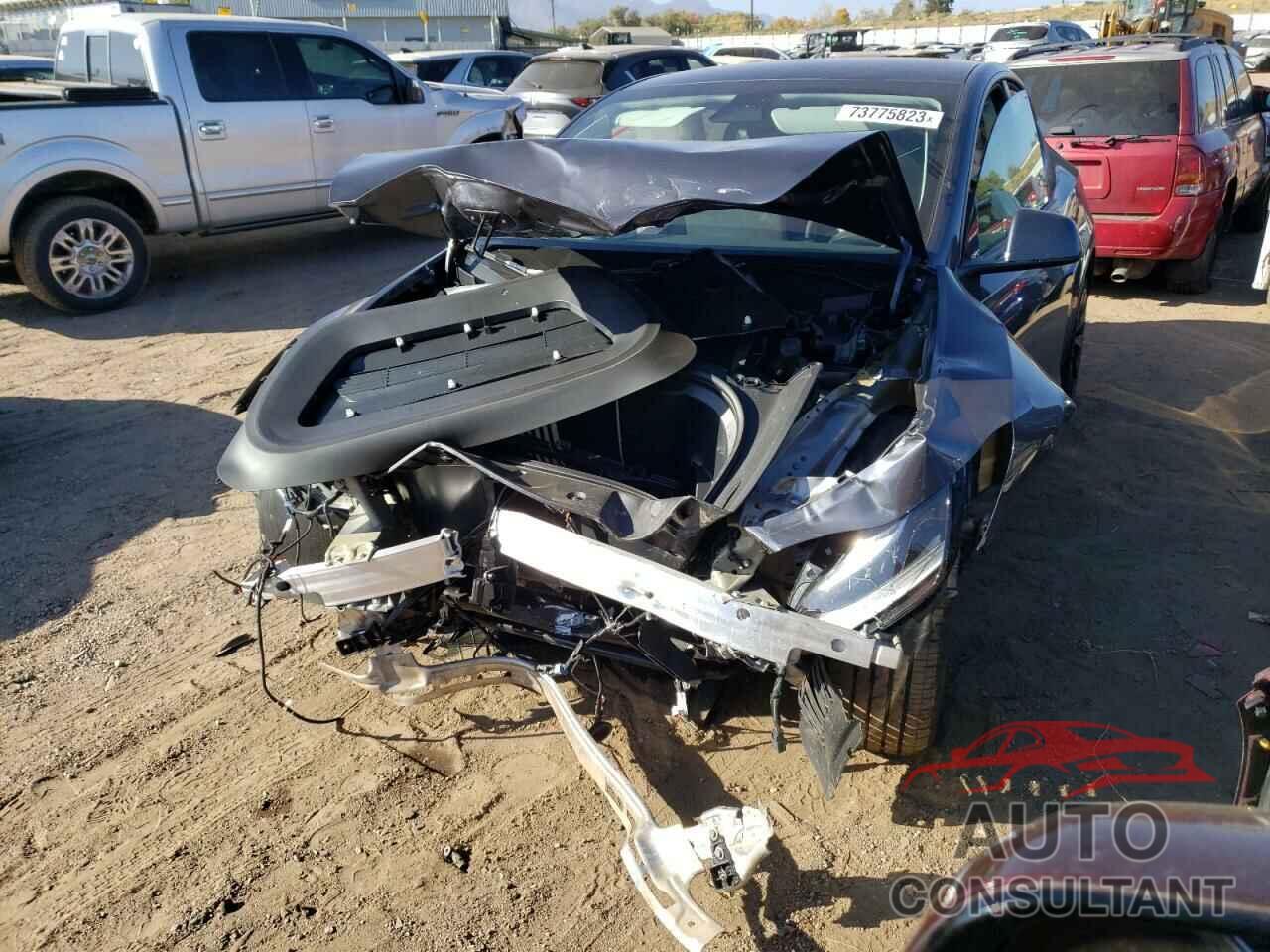 TESLA MODEL Y 2023 - 7SAYGDEE8PF767426
