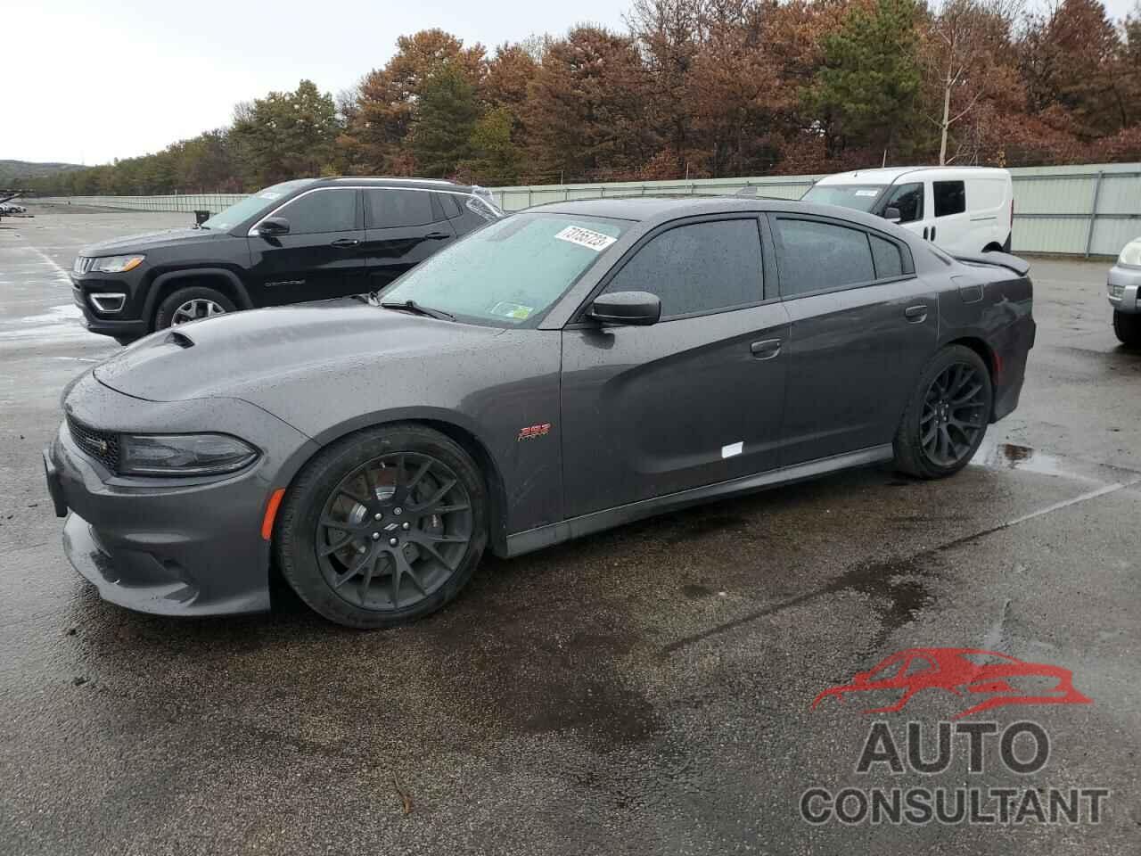 DODGE CHARGER 2018 - 2C3CDXGJ3JH230433