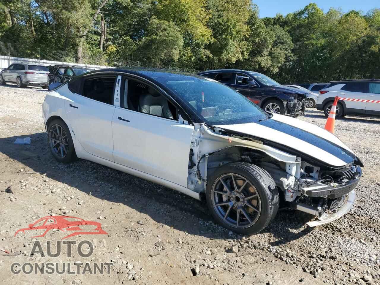TESLA MODEL 3 2021 - 5YJ3E1EA2MF098140