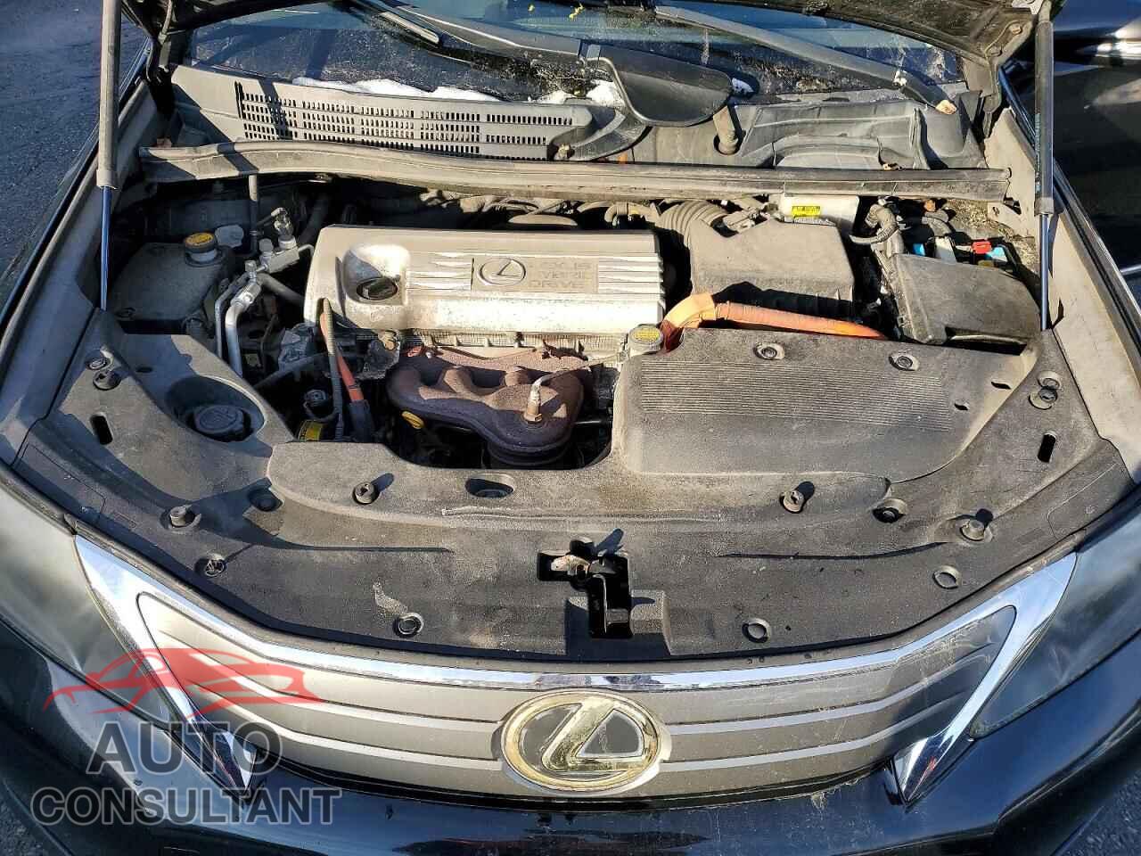 LEXUS HS 2010 - JTHBB1BA8A2008852