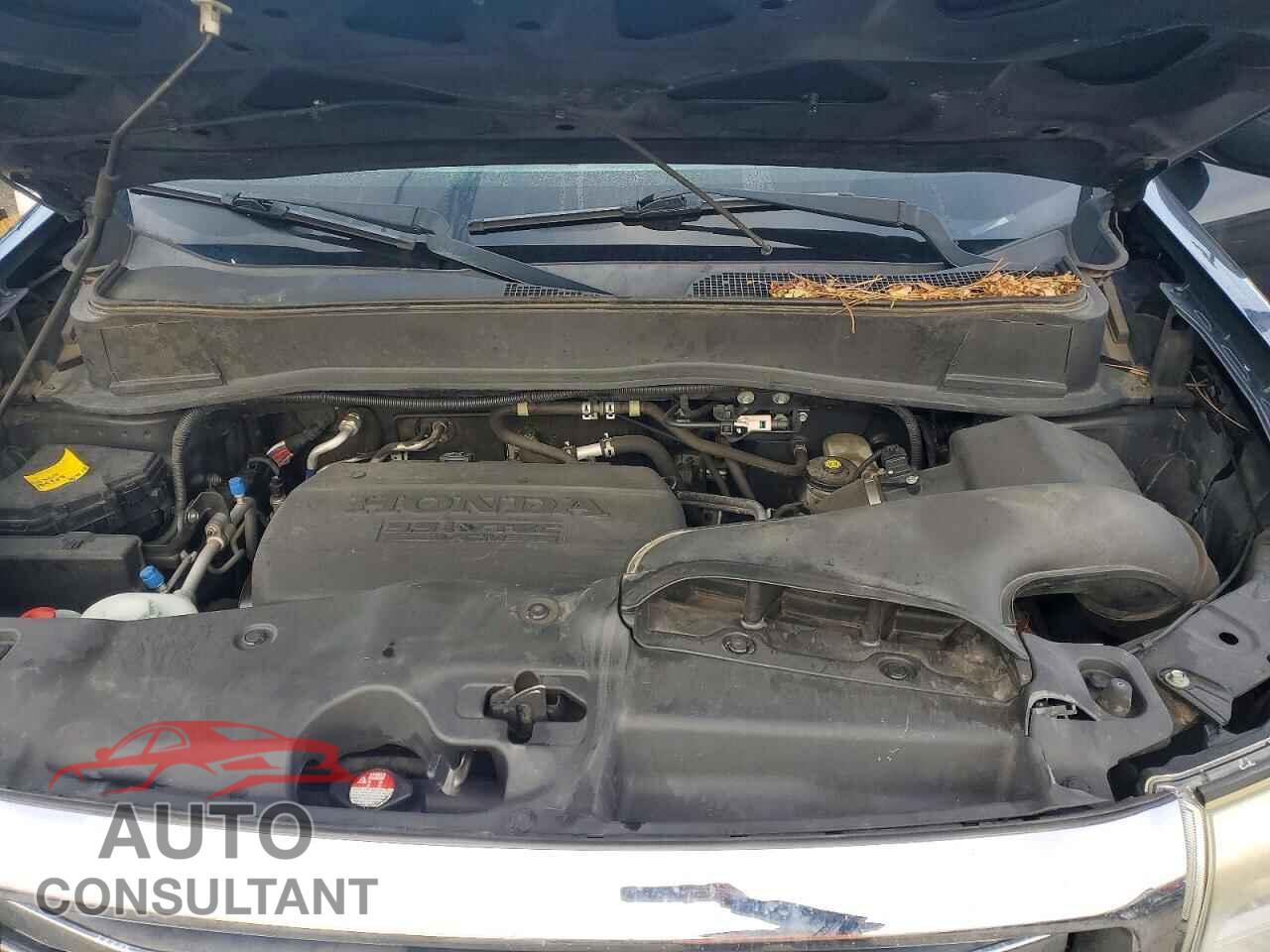 HONDA PILOT 2013 - 5FNYF4H77DB071875