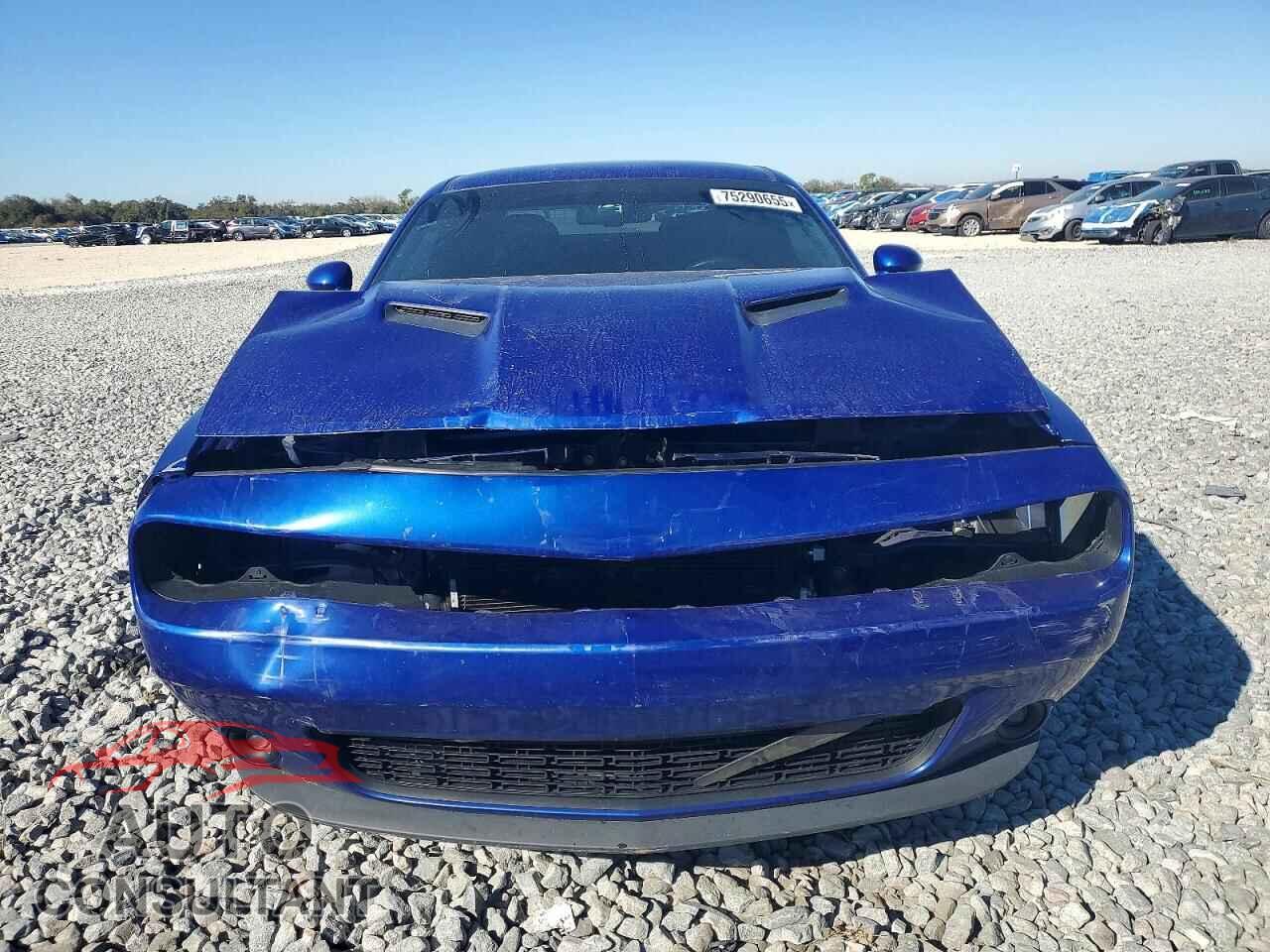 DODGE CHALLENGER 2019 - 2C3CDZAG2KH672436
