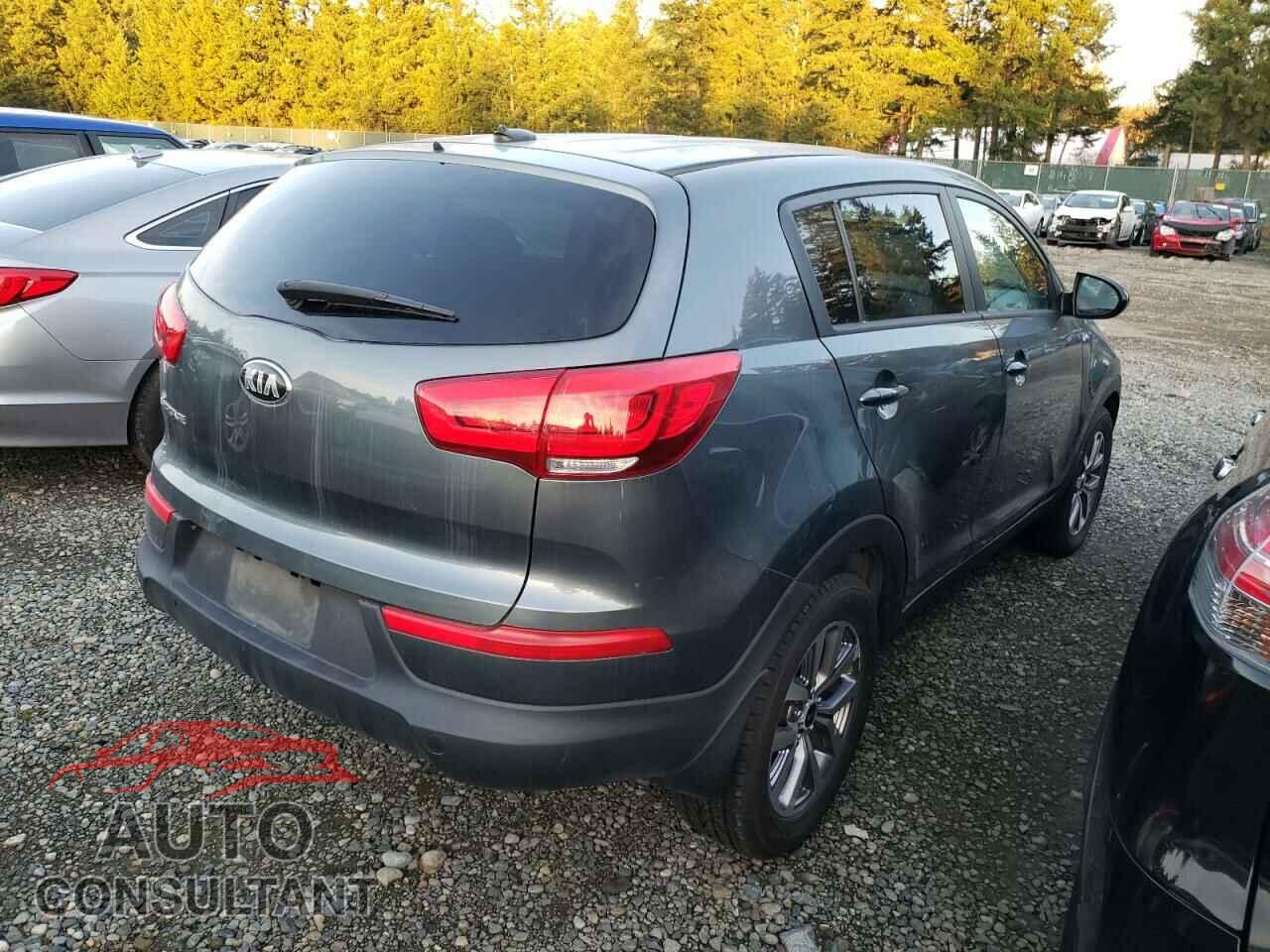 KIA SPORTAGE 2015 - KNDPBCAC4F7742226