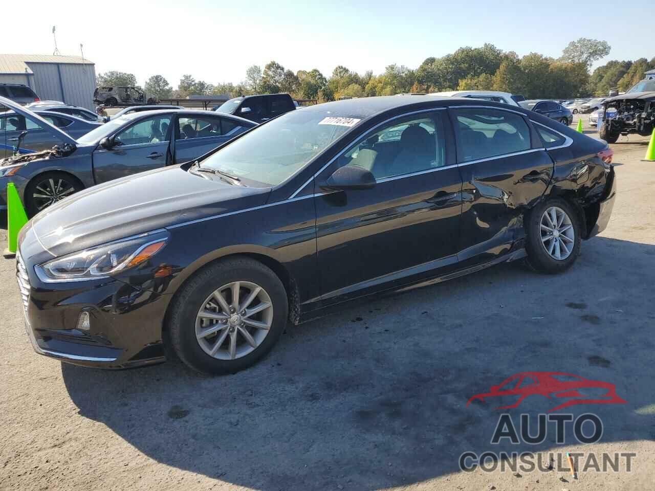 HYUNDAI SONATA 2019 - 5NPE24AF4KH817794