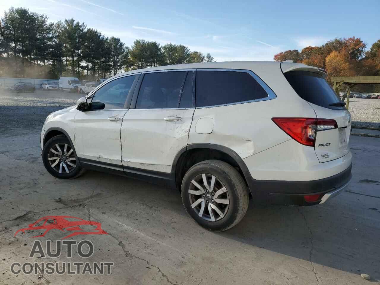 HONDA PILOT 2019 - 5FNYF6H33KB027894