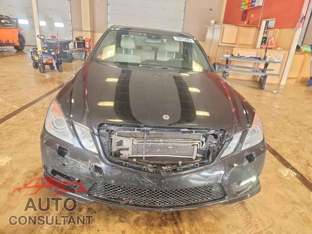 MERCEDES-BENZ E-CLASS 2011 - WDDHF9AB5BA356484