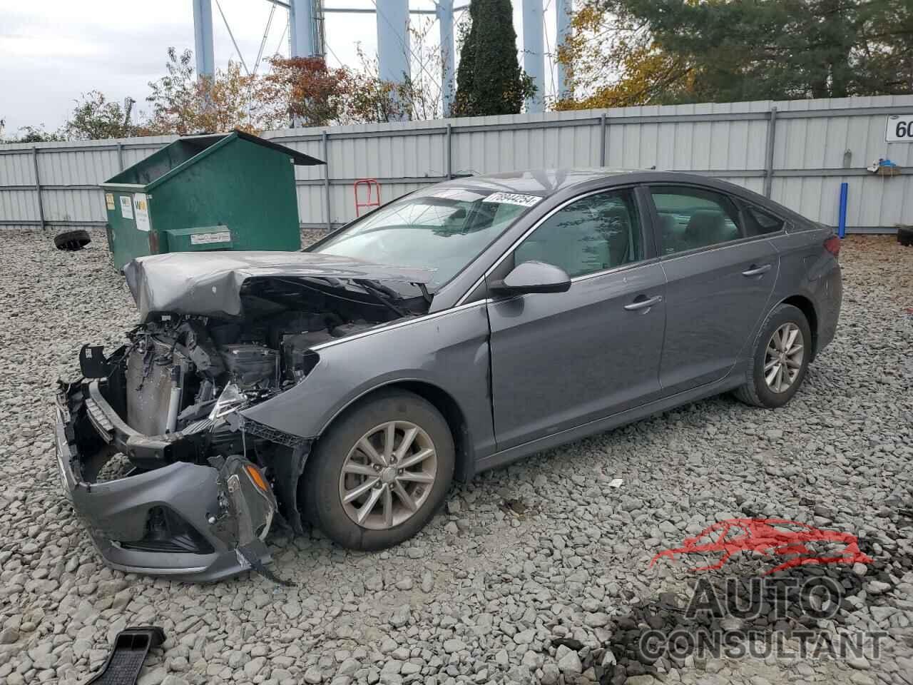 HYUNDAI SONATA 2019 - 5NPE24AF7KH808796