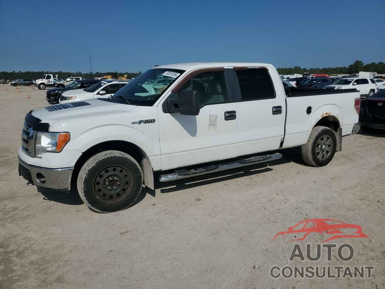 FORD F-150 2009 - 1FTPW14V09FB33005