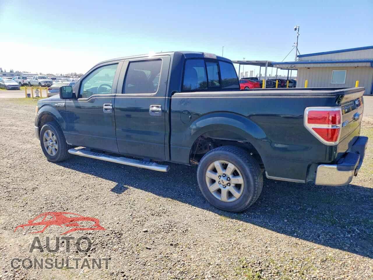 FORD F150 2013 - 1FTFW1CFXDFD63231