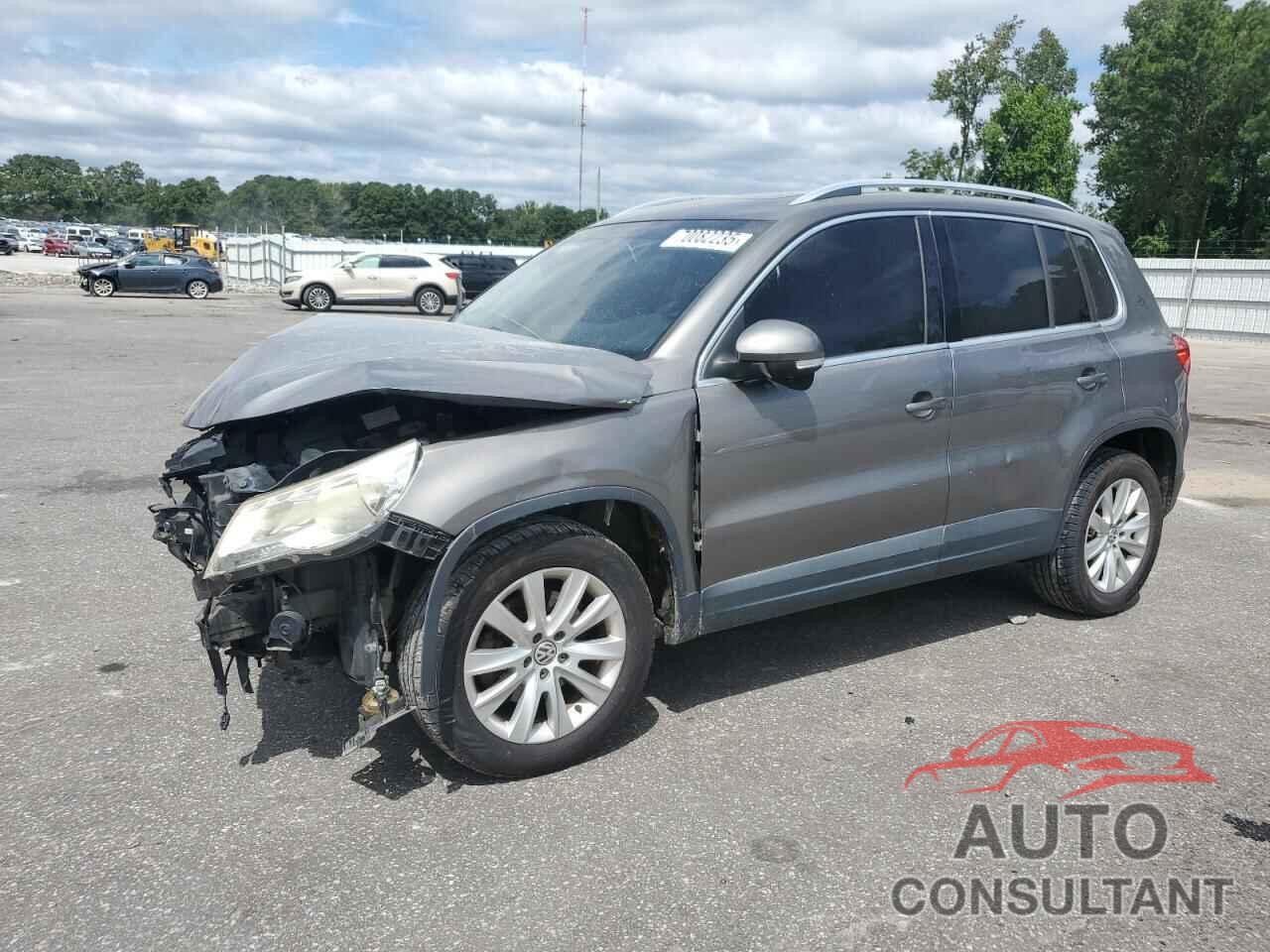 VOLKSWAGEN TIGUAN 2009 - WVGAV75N39W534554