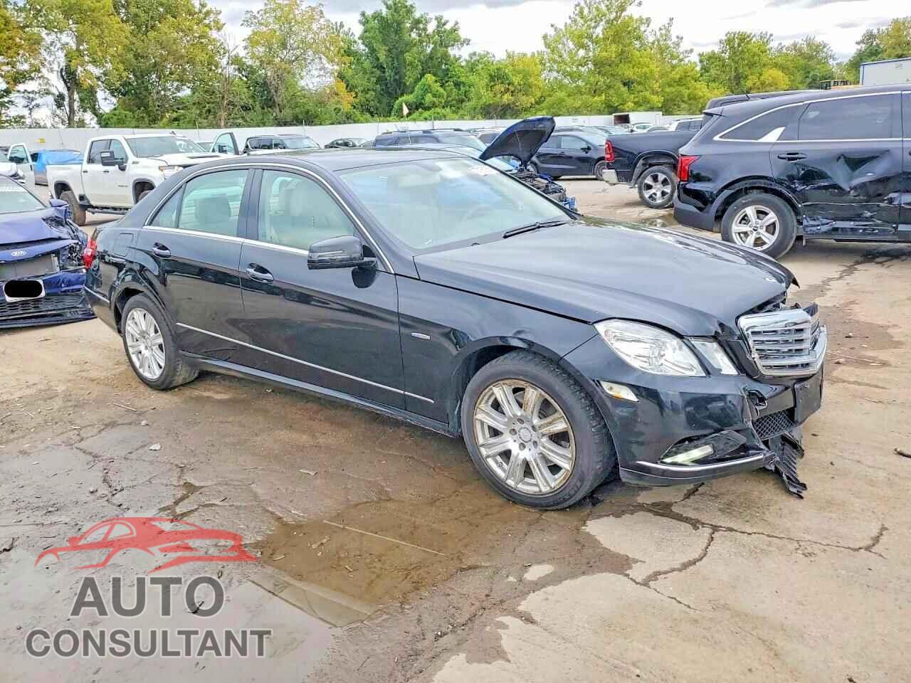 MERCEDES-BENZ E-CLASS 2012 - WDDHF8JB2CA549638