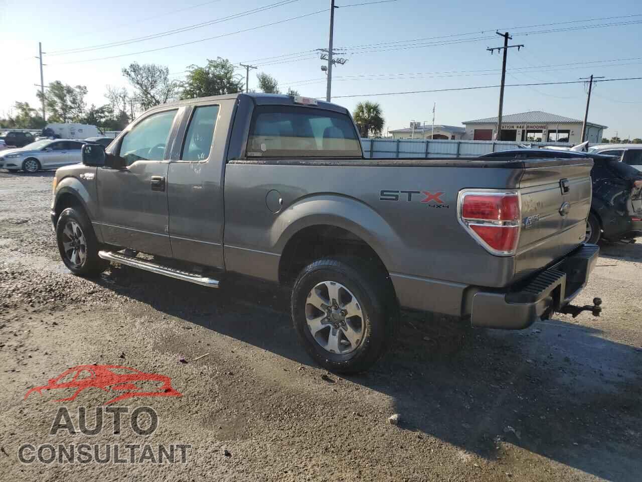 FORD F-150 2013 - 1FTFX1EF4DFD53241