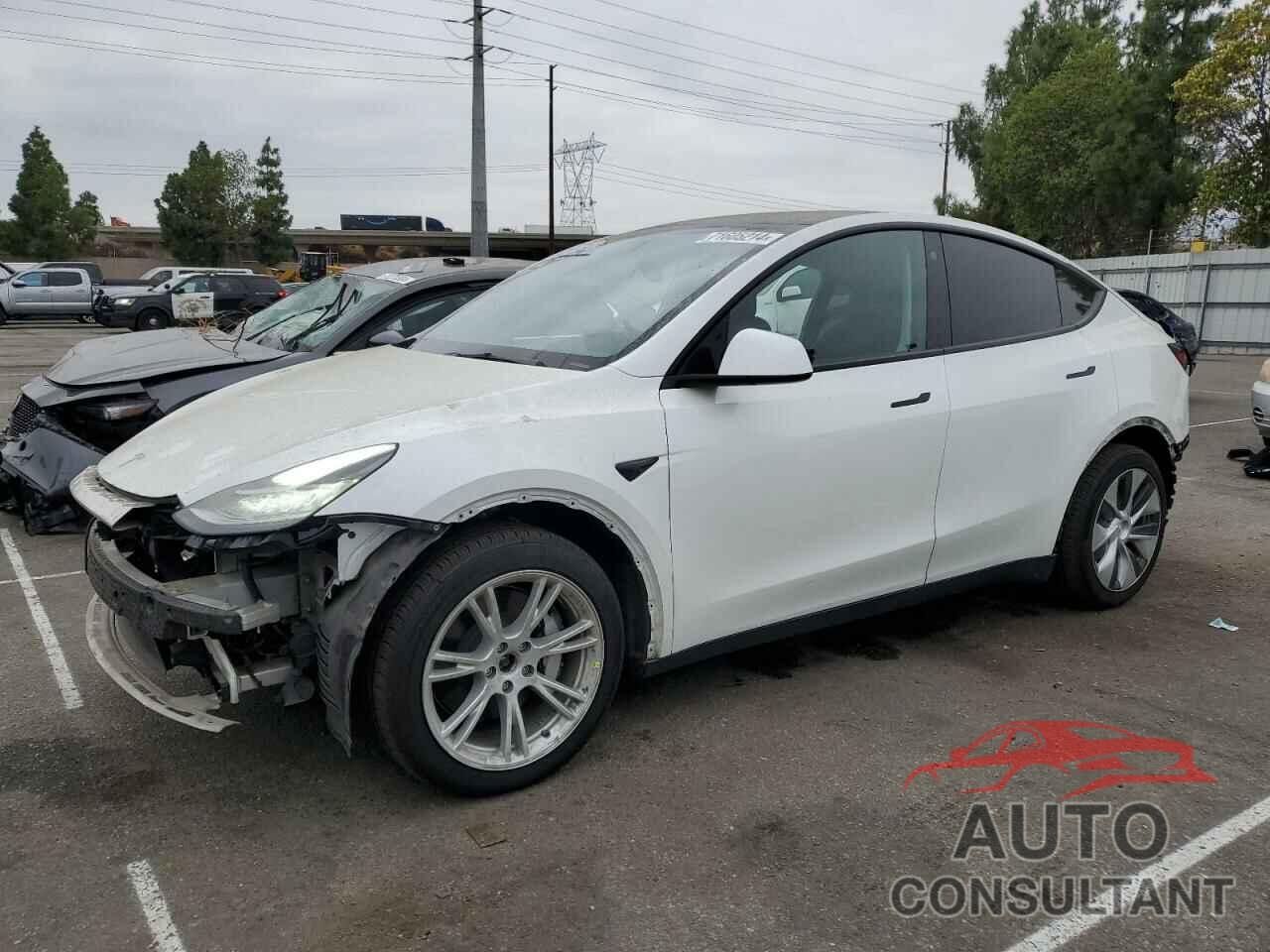 TESLA MODEL Y 2021 - 5YJYGDEE8MF242150