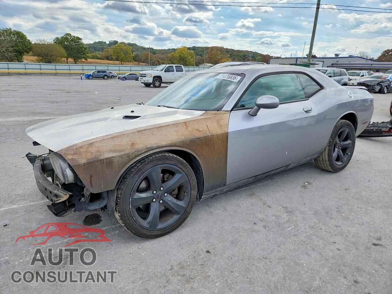 DODGE CHALLENGER 2013 - 2C3CDYAG0DH634314