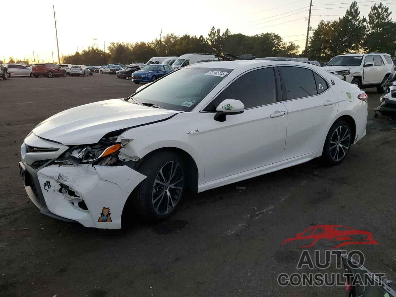 TOYOTA CAMRY 2020 - 4T1G31AK4LU541203