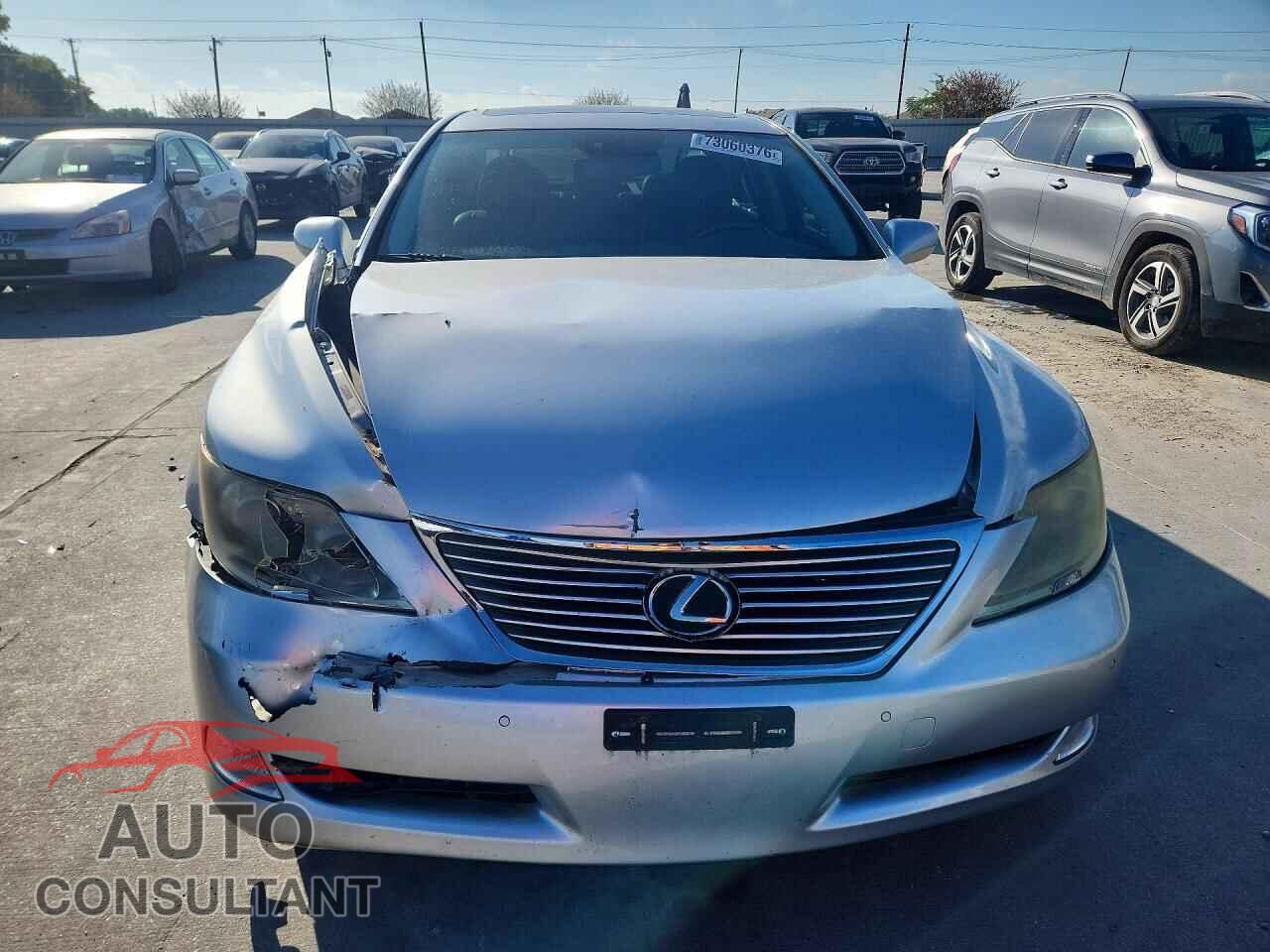 LEXUS LS460 2009 - JTHBL46F395091511