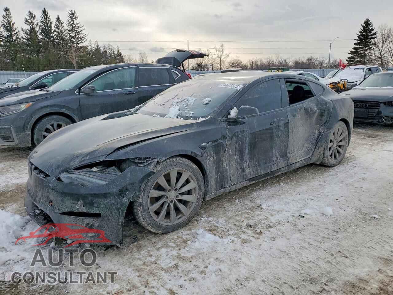 TESLA MODEL S 2023 - 5YJSA1E51PF501202