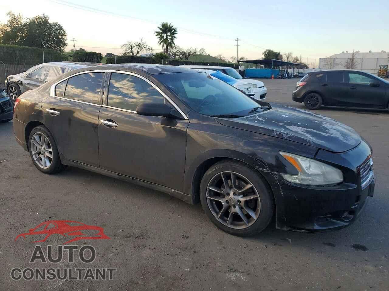 NISSAN MAXIMA 2009 - 1N4AA51E09C832142