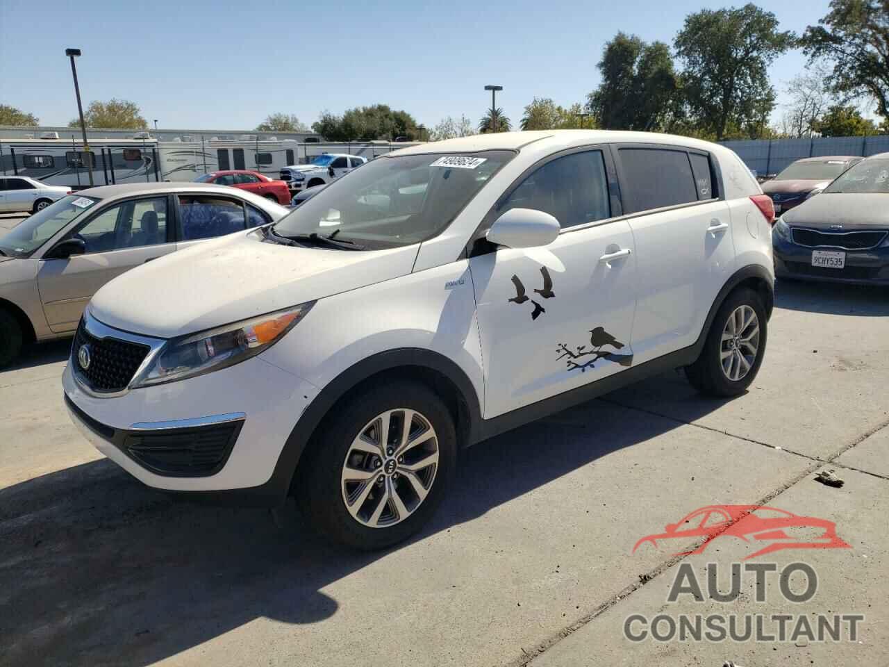 KIA SPORTAGE 2016 - KNDPBCAC2G7869512