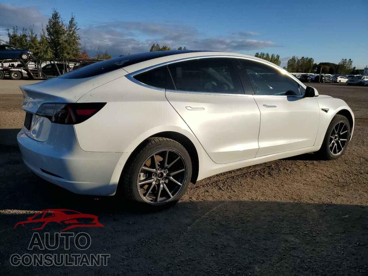 TESLA MODEL 3 2020 - 5YJ3E1EA9LF625475