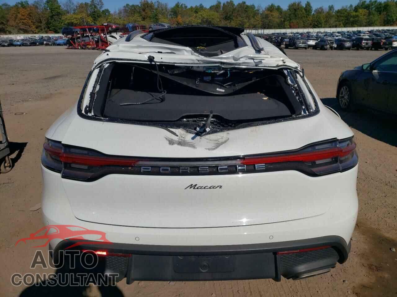 PORSCHE MACAN BASE 2023 - WP1AA2A53PLB00737