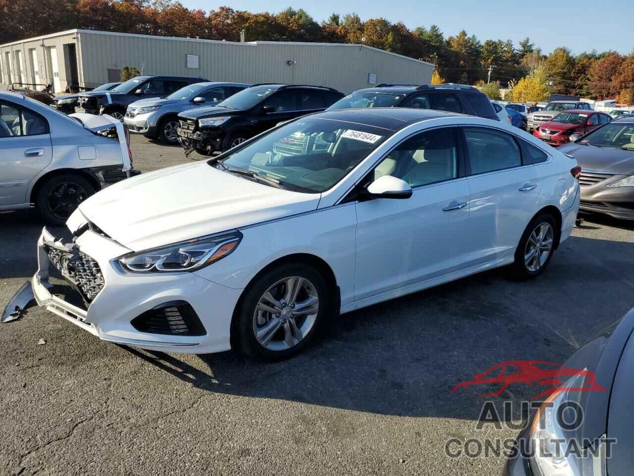 HYUNDAI SONATA 2019 - 5NPE34AF5KH734727