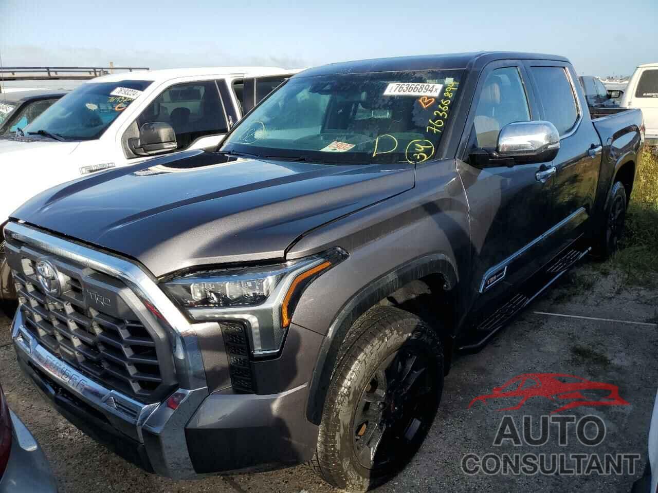 TOYOTA TUNDRA 2023 - 5TFMA5DBXPX098852