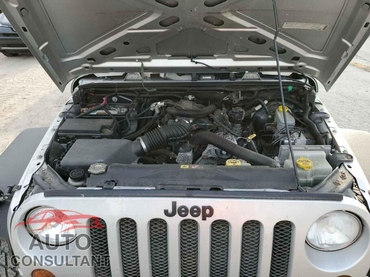 JEEP WRANGLER 2010 - 1J4AA2D15AL109550