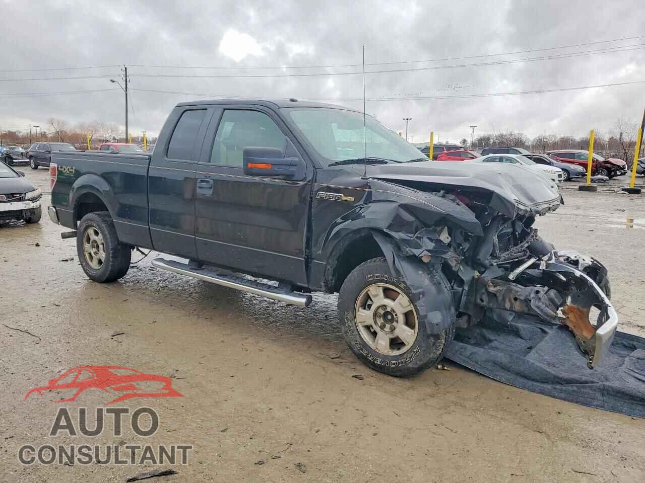 FORD F150 2011 - 1FTFX1EF7BFC31082
