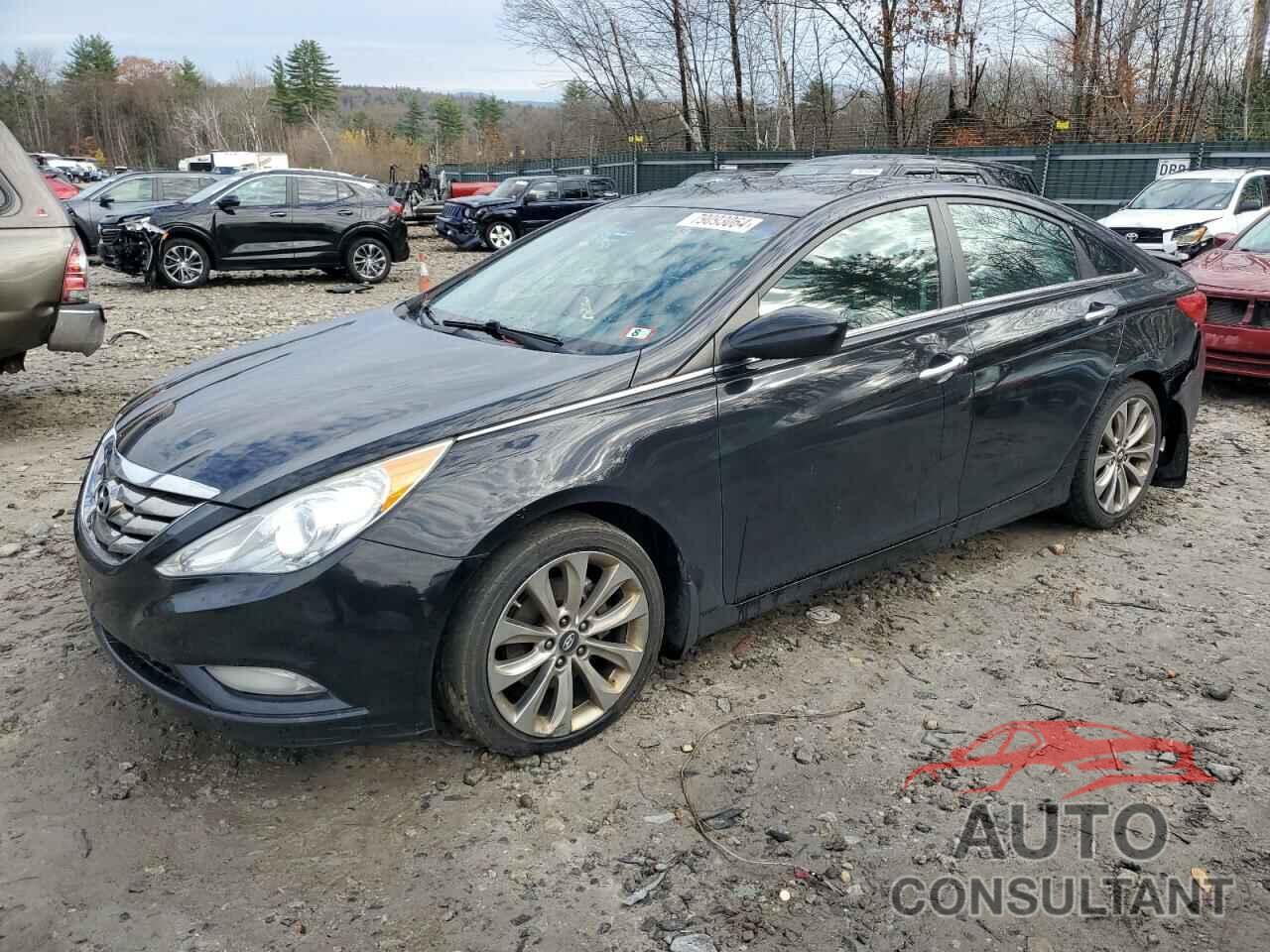 HYUNDAI SONATA 2013 - 5NPEC4AC1DH534775