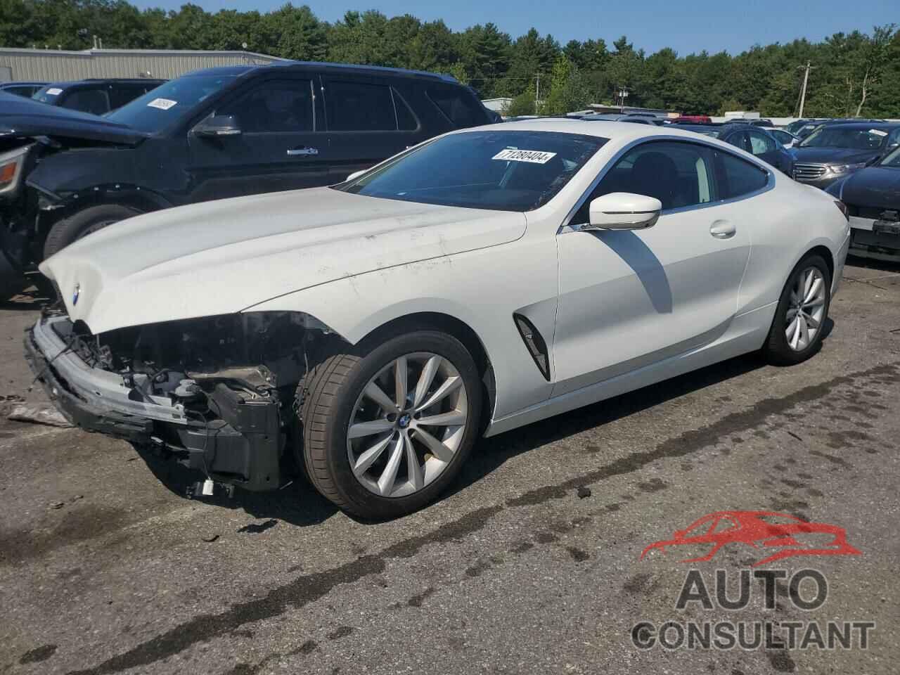 BMW 8 SERIES 2020 - WBAAE4C09LCE66263
