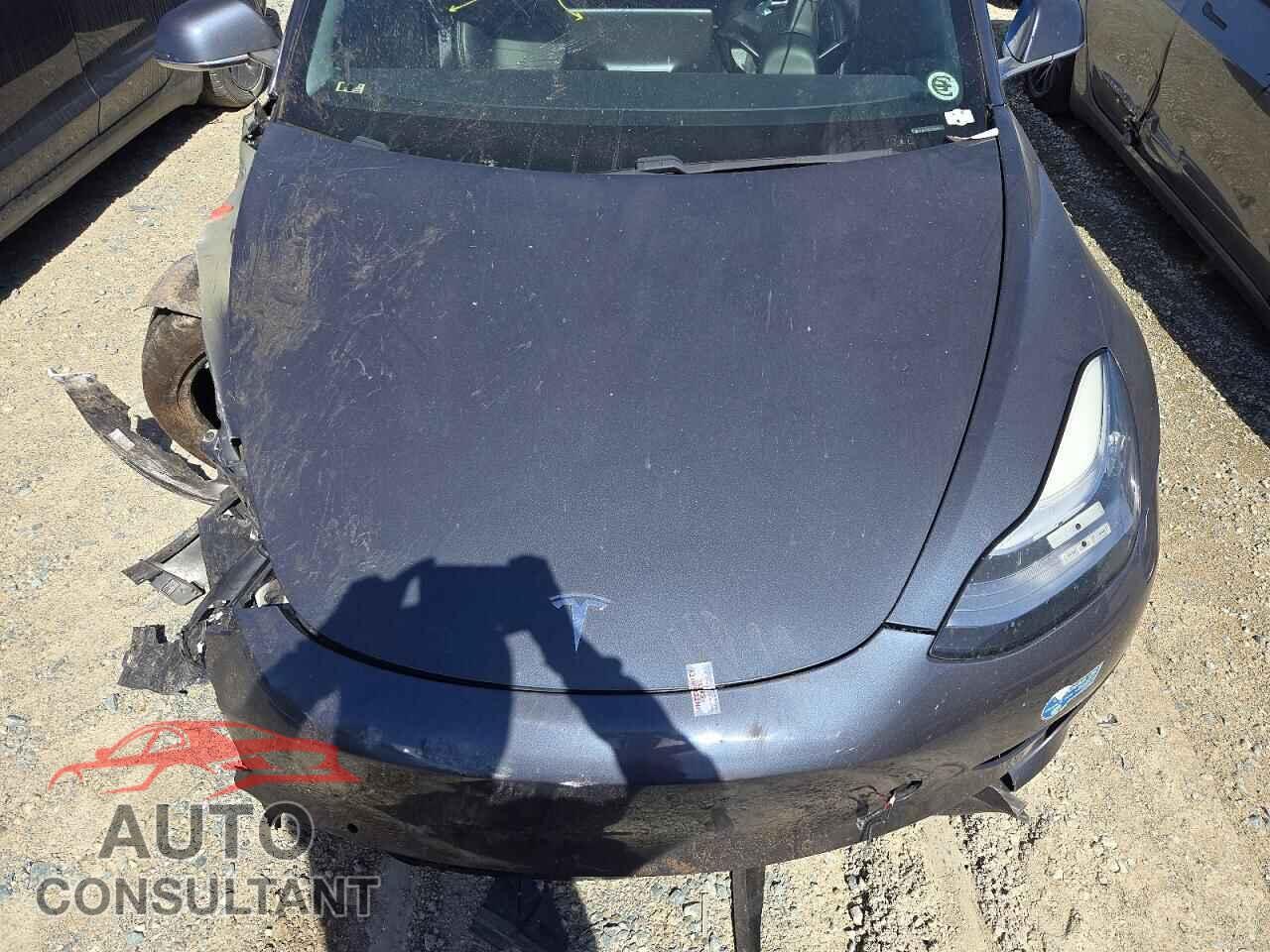 TESLA MODEL 3 2020 - 5YJ3E1EA0LF804486