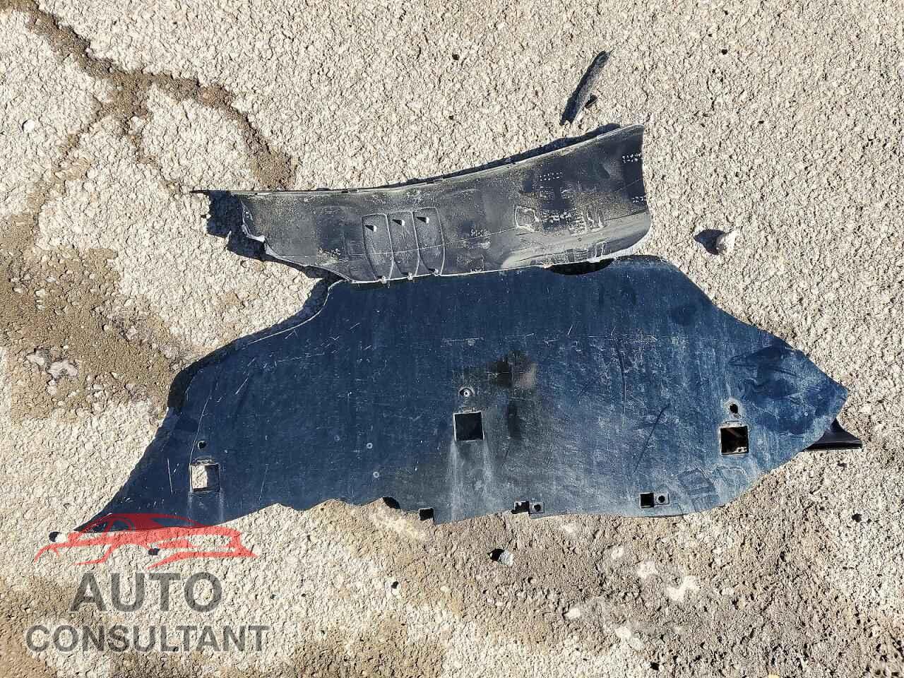 FORD FOCUS 2012 - 1FAHP3F2XCL112791