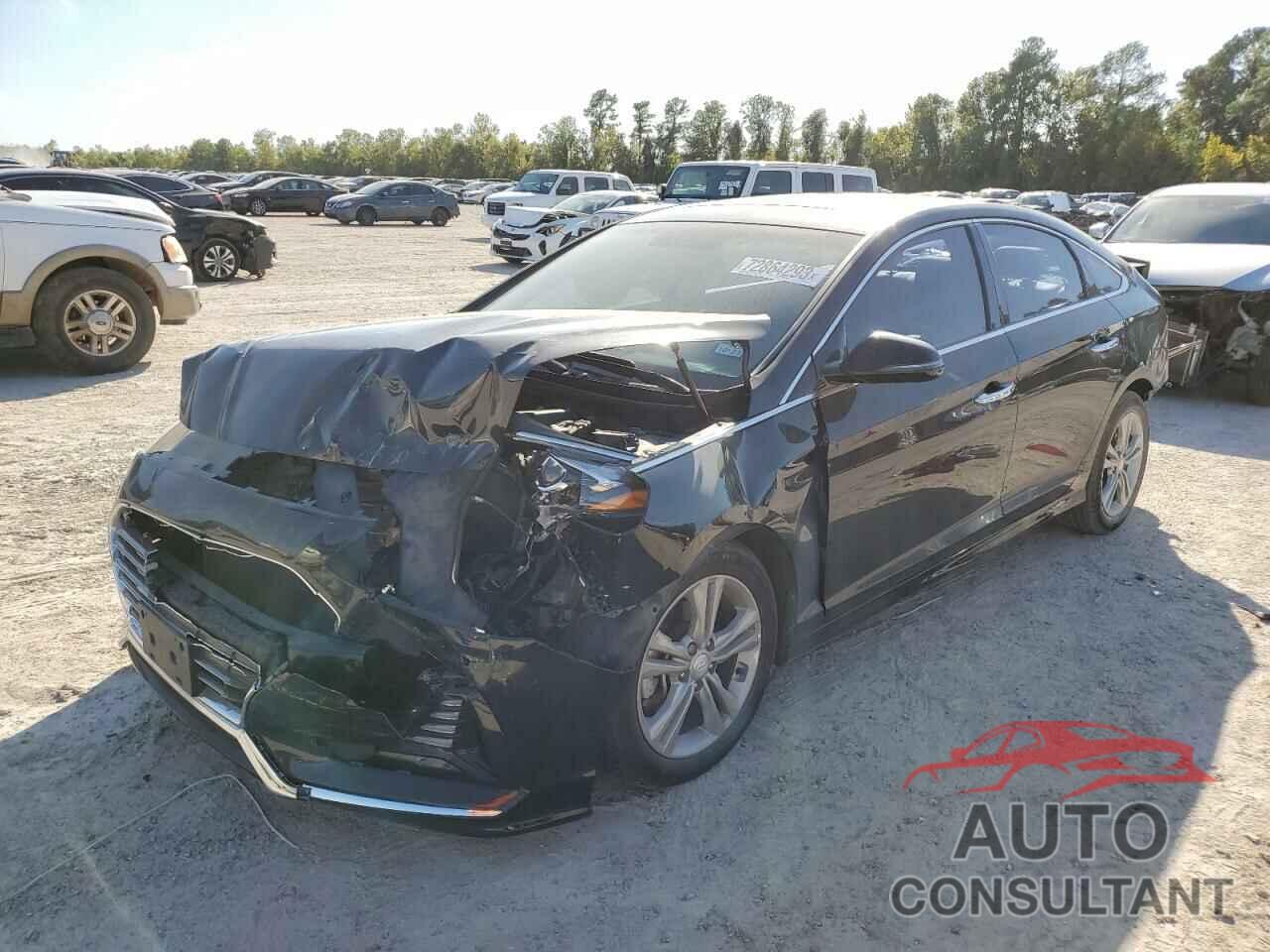HYUNDAI SONATA 2018 - 5NPE34AF0JH641497